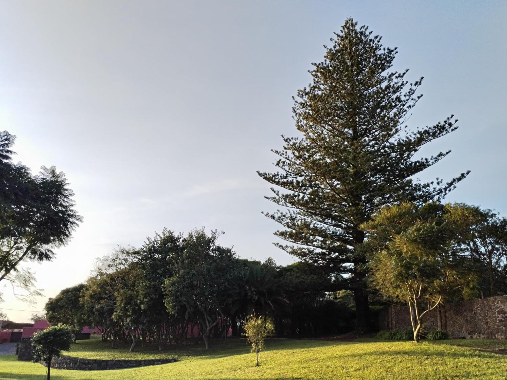 Quinta Da Casa Grande Bauernhof Ponta Delgada